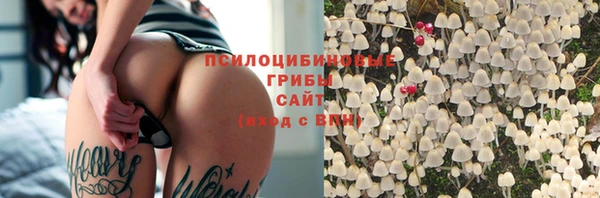 МДПВ Аркадак